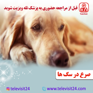 صرع در سگ ها